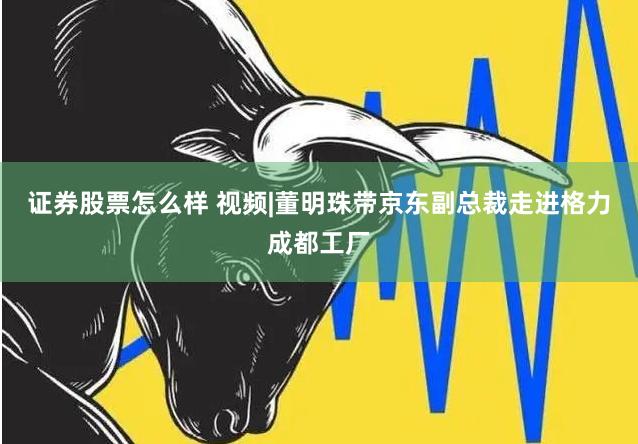 证券股票怎么样 视频|董明珠带京东副总裁走进格力成都工厂