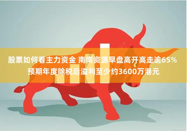 股票如何看主力资金 南南资源早盘高开高走逾65% 预期年度除税后溢利至少约3600万港元