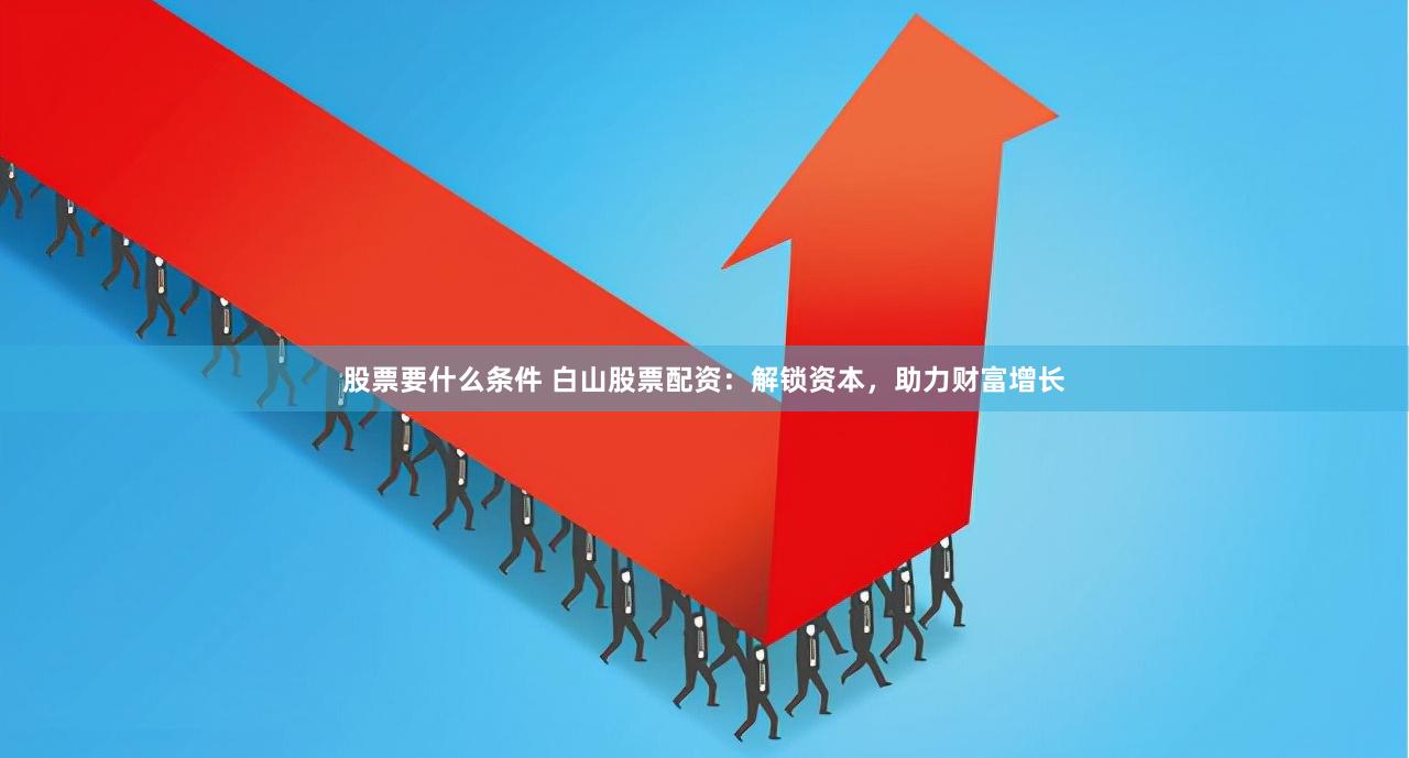 股票要什么条件 白山股票配资：解锁资本，助力财富增长