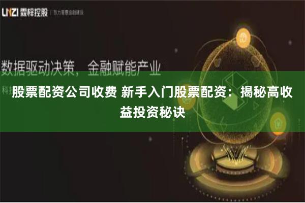 股票配资公司收费 新手入门股票配资：揭秘高收益投资秘诀
